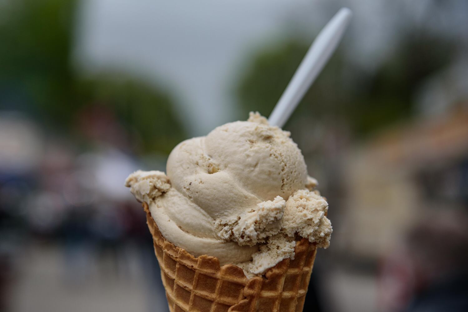 PHOTOS: Did we spot you having a sweet time at Sugar Maple Festival?