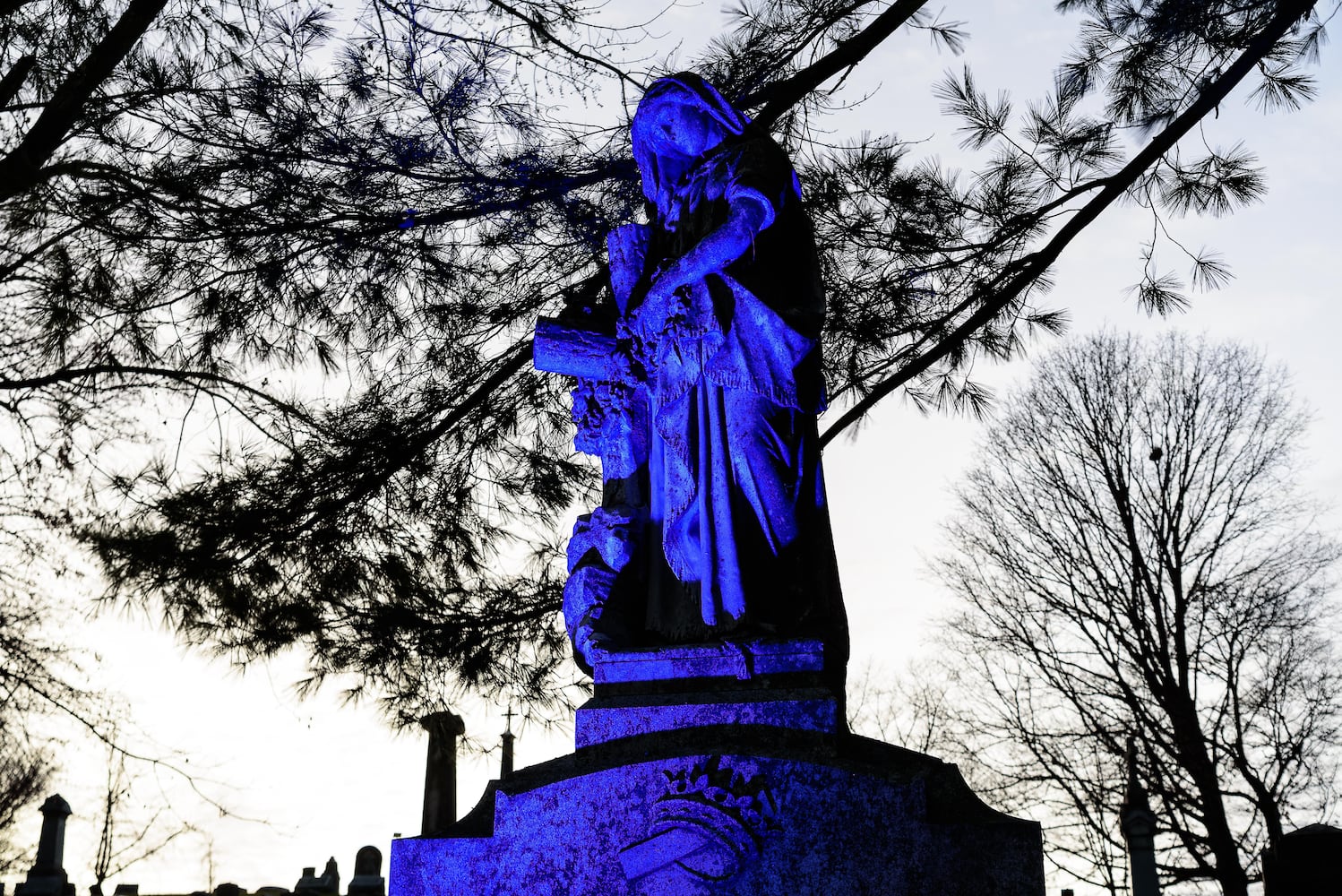 PHOTOS: Angel Night at Calvary Cemetery