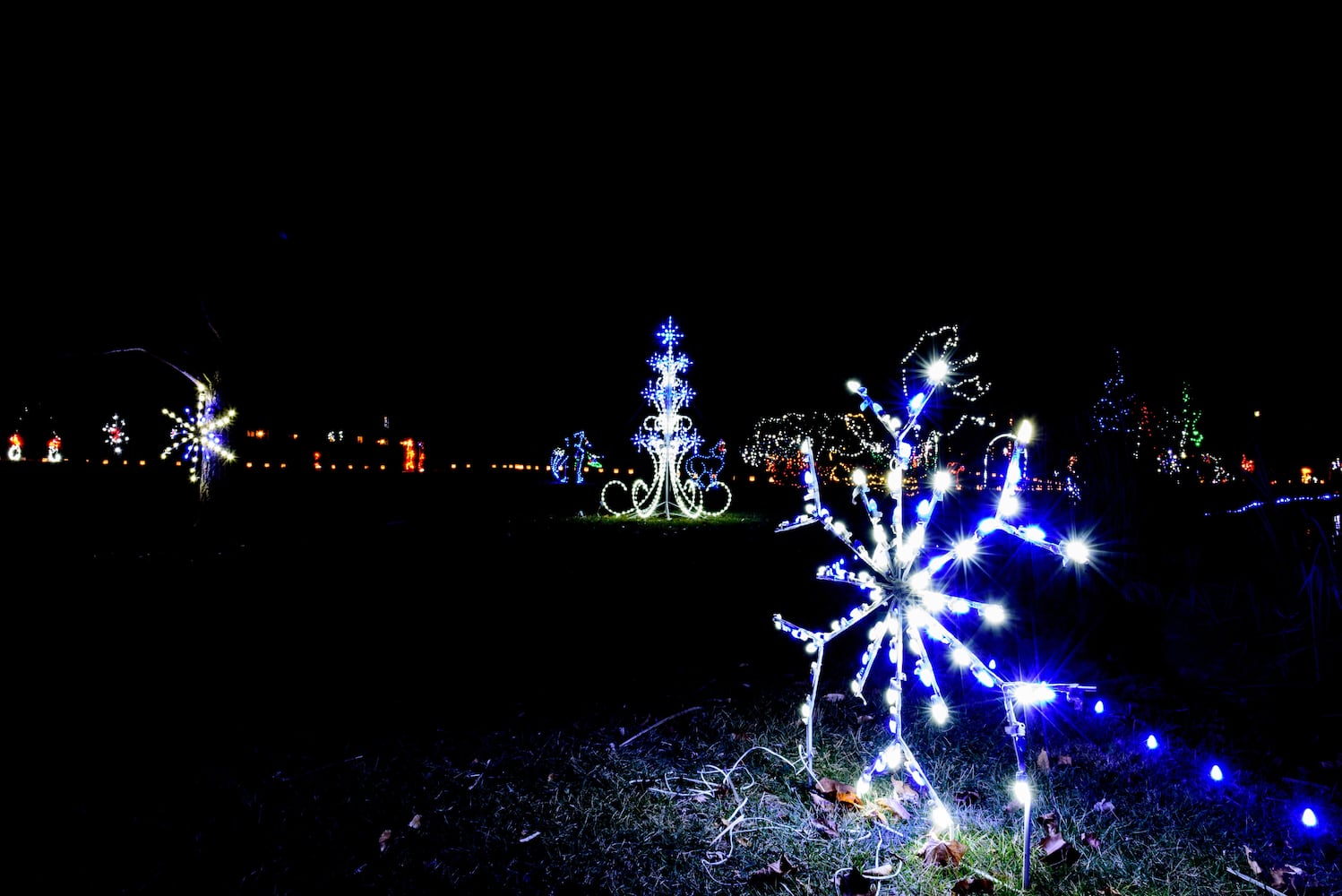 PHOTOS: A walk through Woodland Lights in Washington Township