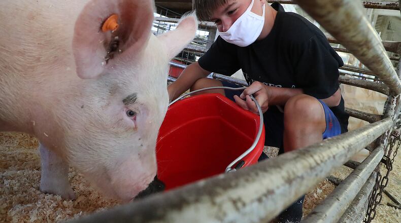 Carter Adkins, 12, gives his pig some water Tuesday as he waits to show at the Clark County Fair. Fair, such as the Preble County Fair, that start after July 31 can only have a junior fair, per new restrictions announced this week. BILL LACKEY/STAFF