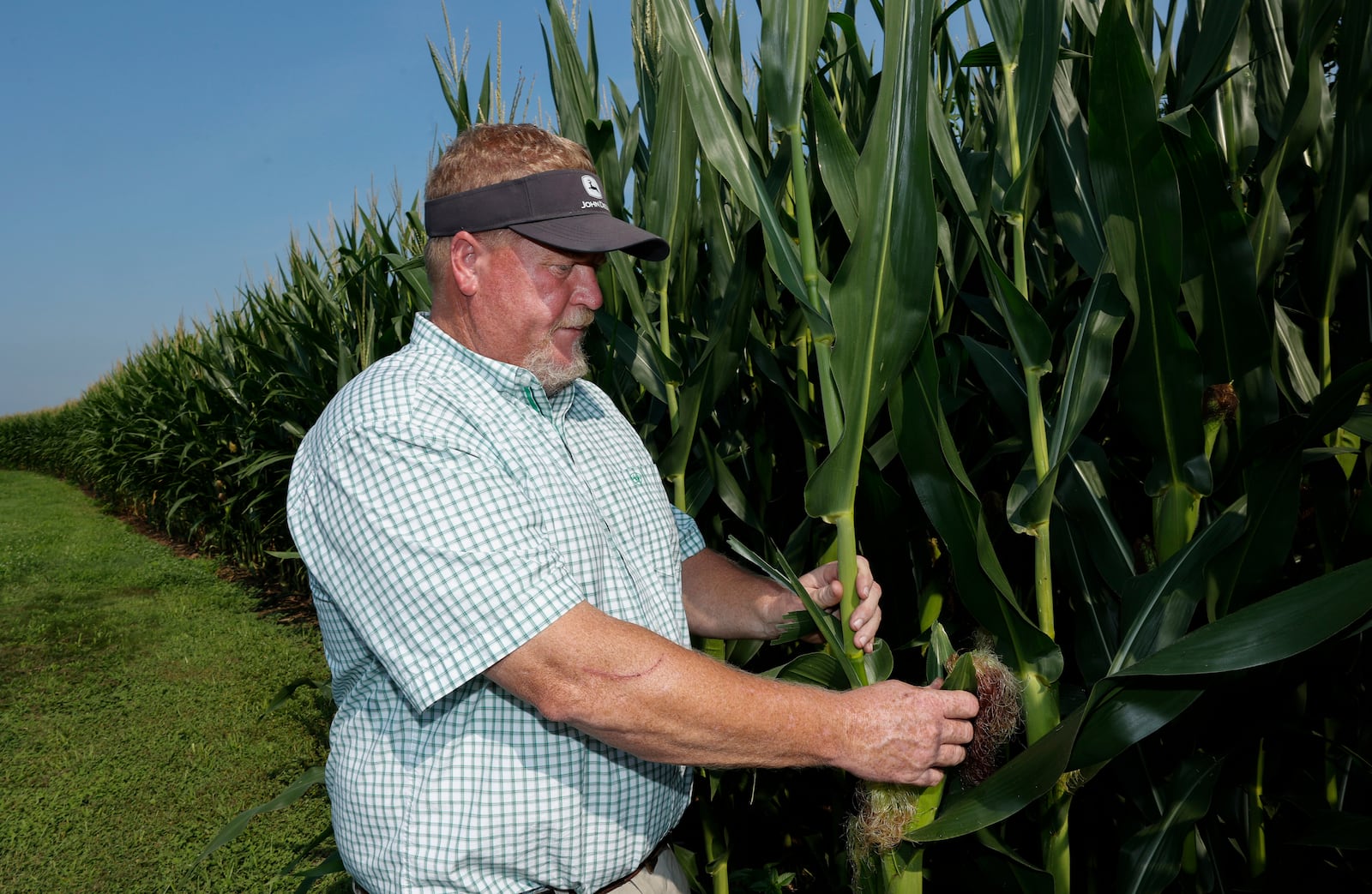 Brian Harbage looks at crops at his farm on Wednesday, July 30, 2025, in South Charleston. JOSEPH COOKE/STAFF