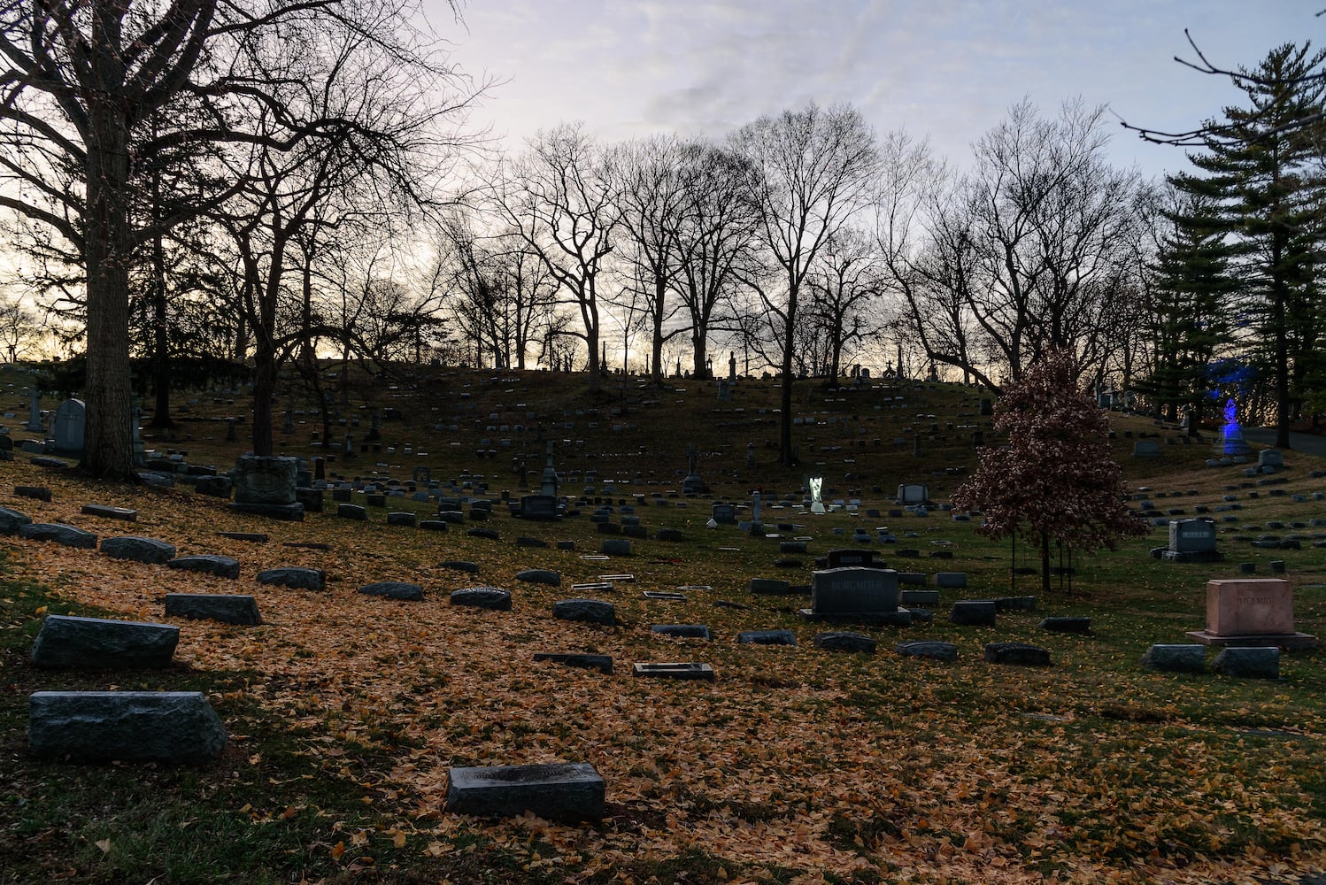 PHOTOS: Angel Night at Calvary Cemetery