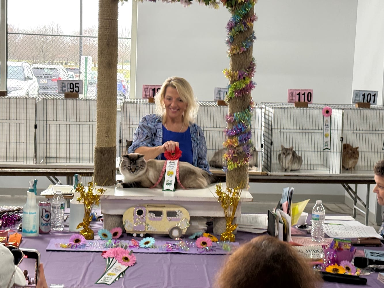 Cat Fanciers' Association cat show