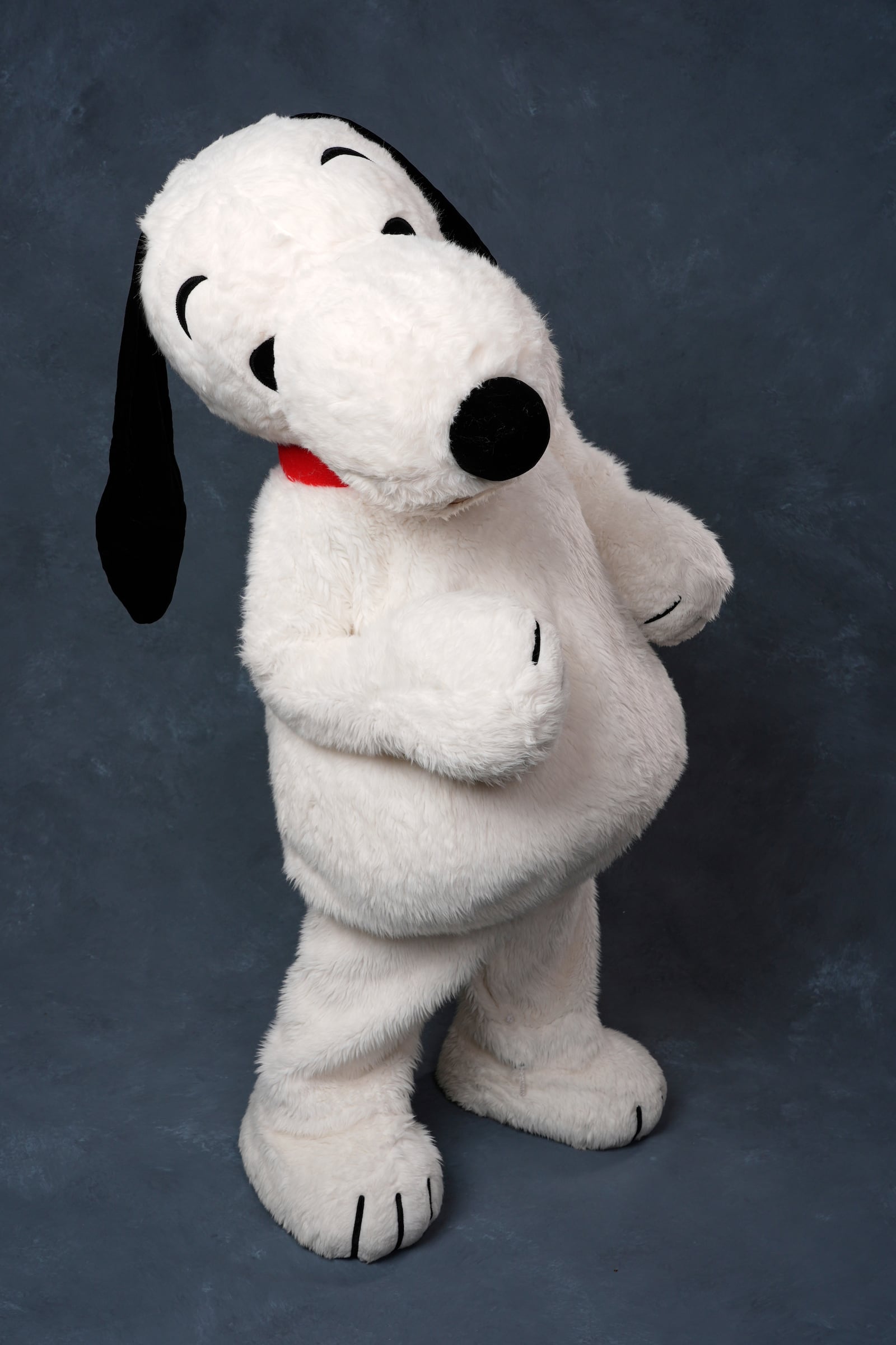 A person dressed as the character Snoopy poses for a portrait to promote the 75th anniversary of "Peanuts" during Comic-Con International on Thursday, July 24, 2025, in San Diego. (AP Photo/Chris Pizzello)