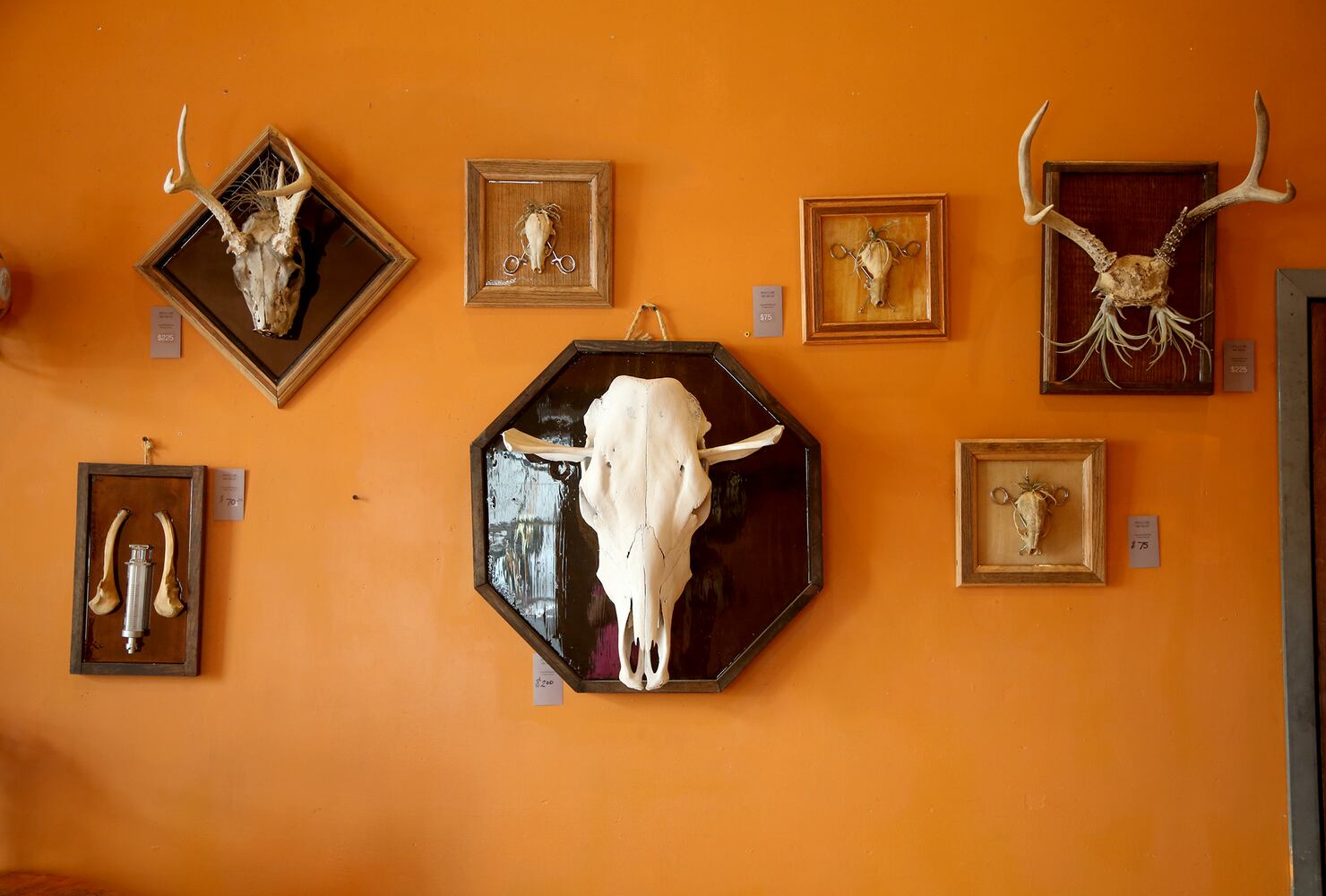 PHOTOS: The food and the vibe at Blind Bob’s is craveable