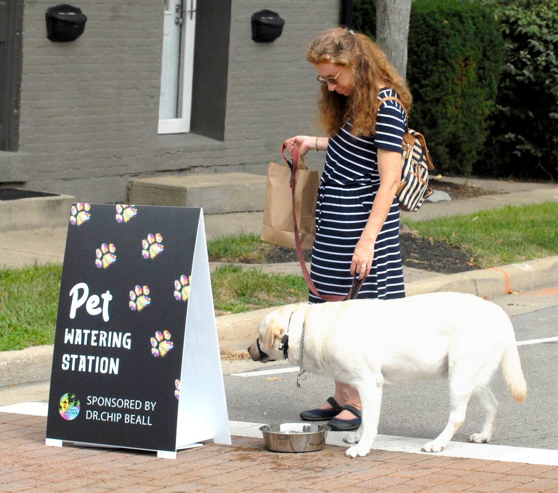 Did we spot you at Springboro's ARTFest on Main 2023?