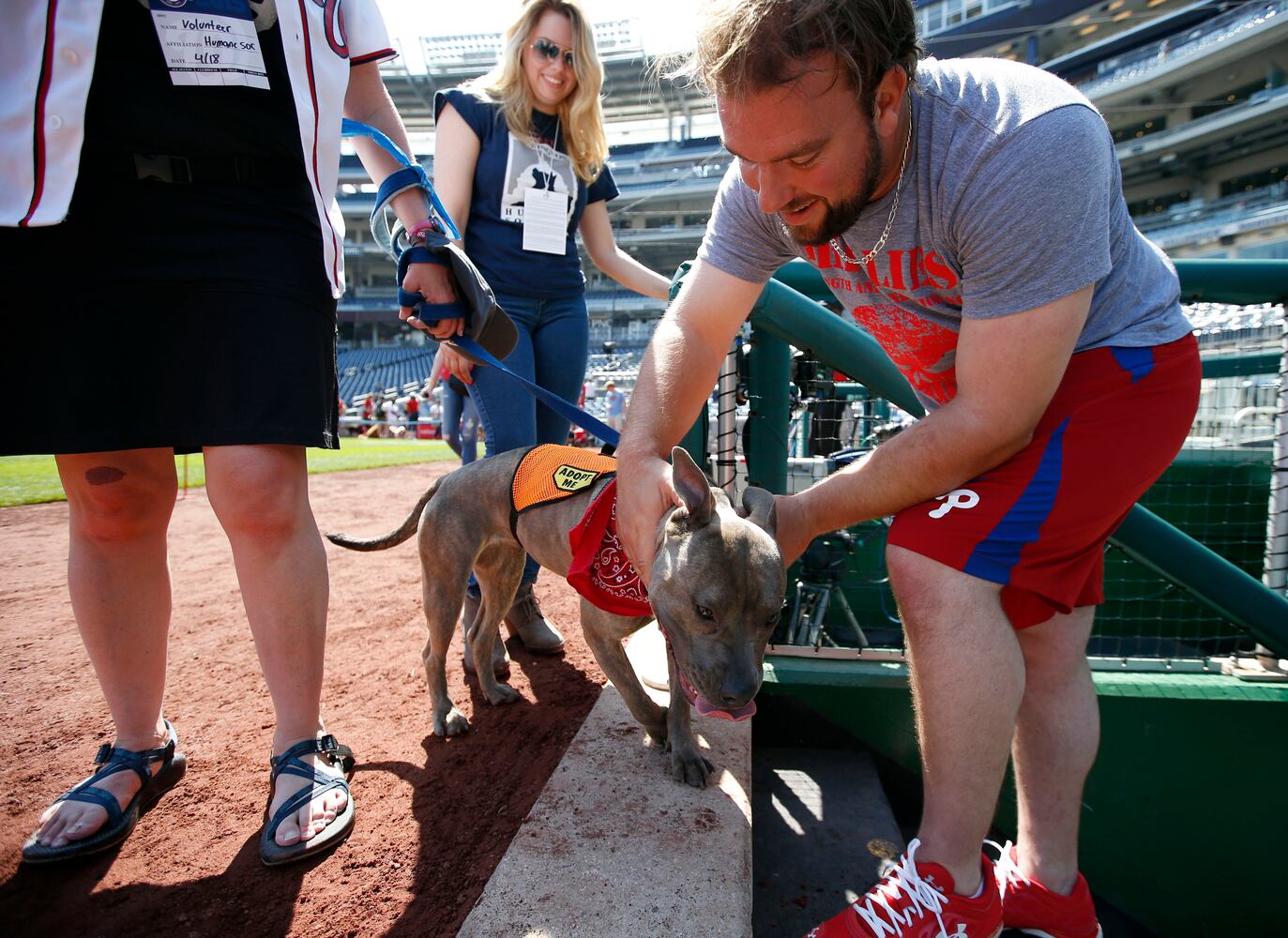 News hounds (4/23/15)