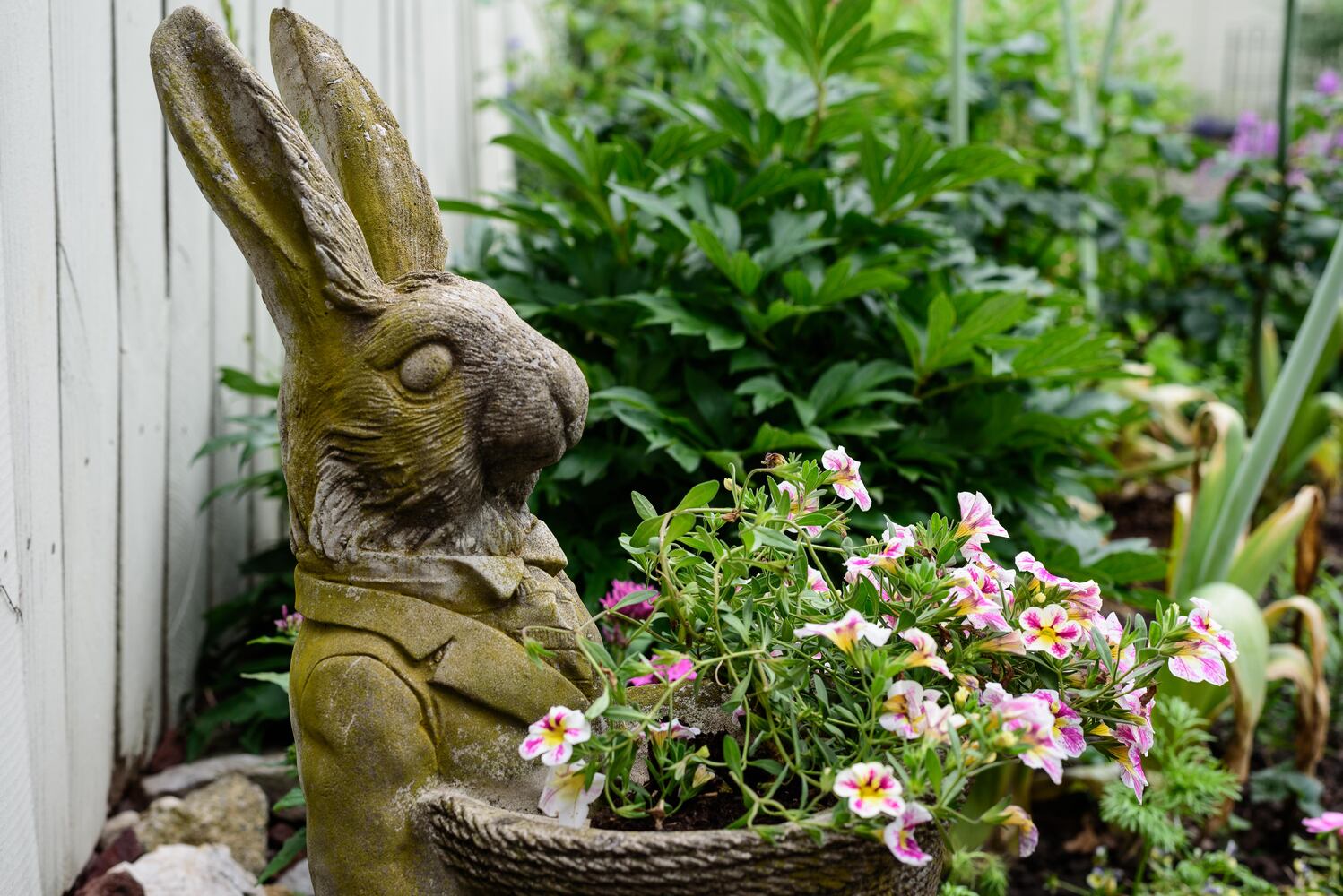 PHOTOS: 2024 St. Anne's Hill Historic District Garden Tour