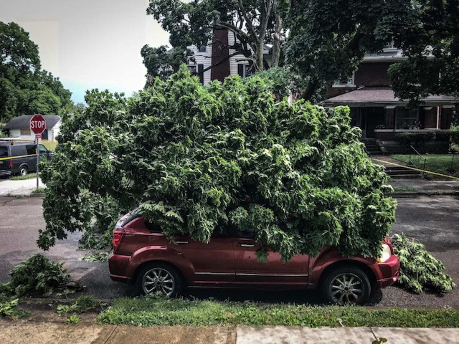 A 2,000-pound branch fell from a tree during heavy rain Tuesday, June 19, 2018, on Five Oaks Avenue in Dayton.