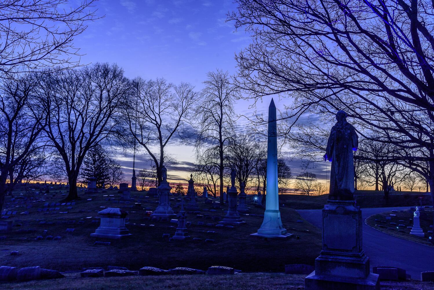 PHOTOS: Angel Night at Calvary Cemetery
