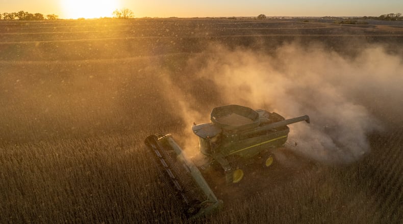 Rodney Egger harvests soybeans with a combine on Wednesday, Oct. 22, 2025, south of Lincoln, Neb. (Arthur H. Trickett-Wile/Lincoln Journal Star via AP)