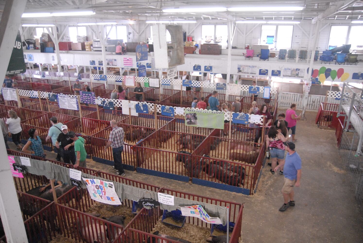 PHOTOS: Did we spot you at the Great Darke County Fair?