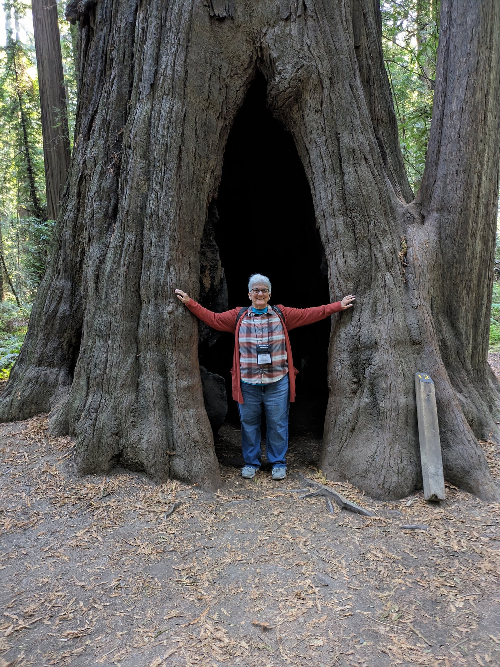 Joyce Skinner developed a love of the outdoors as a youngster, traveling with her church to different camps and with her parents. Her professional life took her to national parks across the country and eventually to Iraq where she worked as a government contractor. She is shown in September of 2023 visiting the coastal redwoods in Oregon. CONTRIBUTED