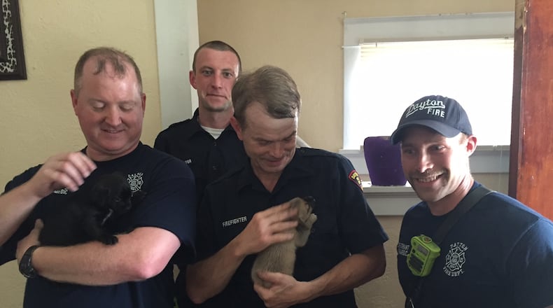 Members of Engine 17, Dayton Fire Department, with Roscoe and Frankie on Monday afternoon, May 30, 2016. (Courtesy: Dayton Police Dept.)
