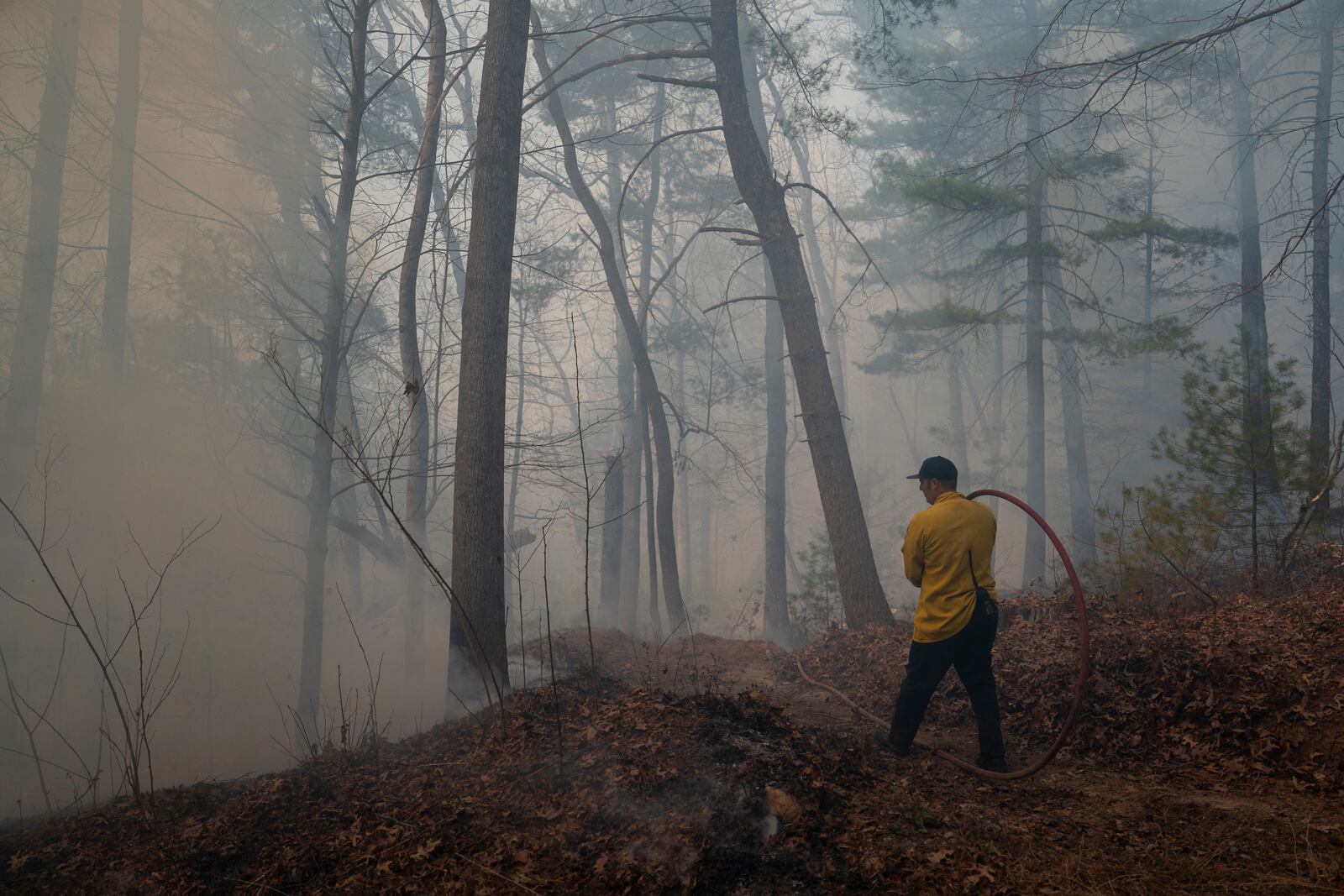 A firefighter works a protective backburn to control the Black Cove Fire Wednesday, March 26, 2025, in Saluda, N.C.. (AP Photo/Allison Joyce)