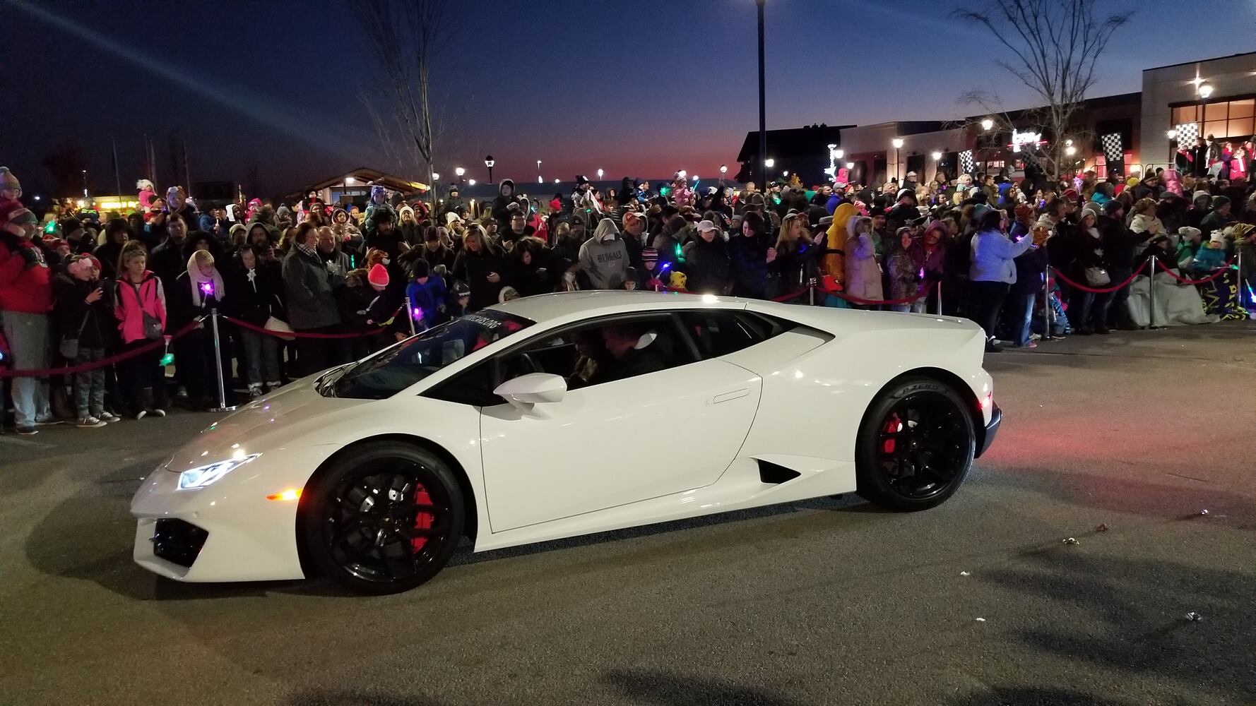 PHOTOS: Budweiser Clydesdales at the Dayton Christmas tree lighting
