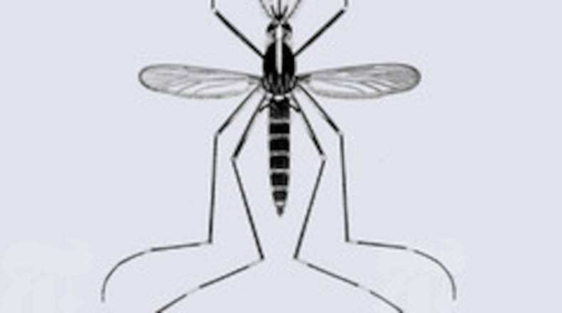 An Ohio man died from West Nile virus, which primarily spreads through mosquito bites.