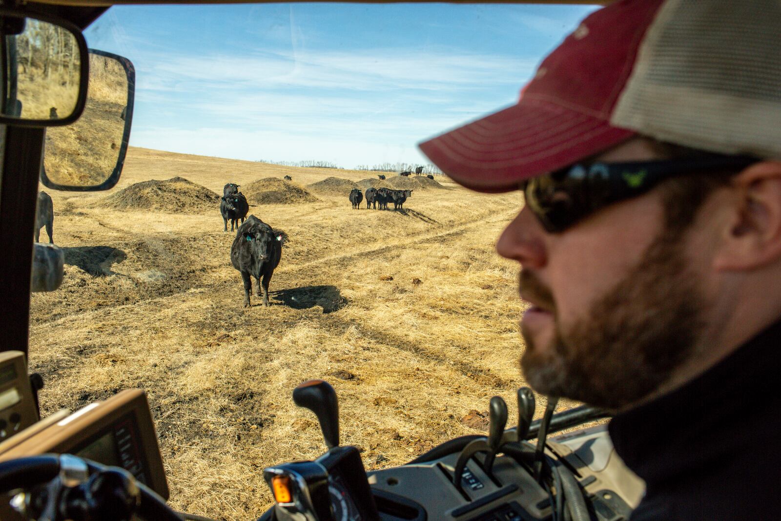 Aaron Johnson of Johnson Organic Farms feeds his cows at his farm, on land owned by Betty Strom, in Lake County, S.D., Monday, March 10, 2025. (AP Photo/Nicole Neri)