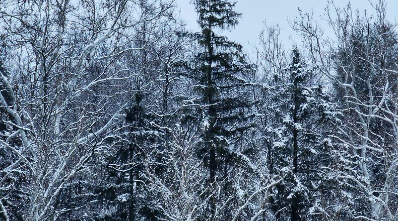 Snow blanketed Madison Twp. in Butler County Wednesday, Jan. 25, 2023. NICK GRAHAM / STAFF