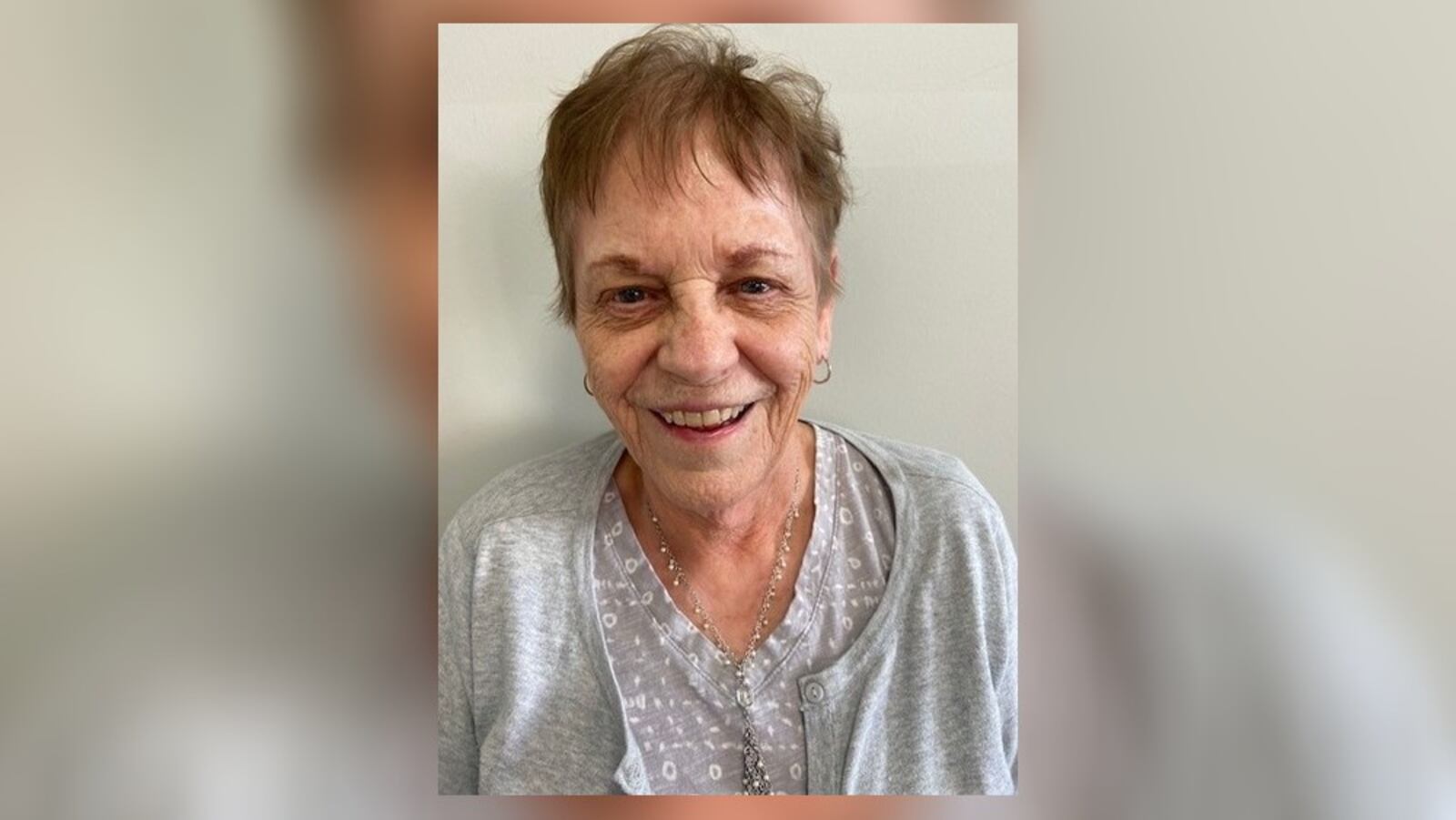 Dianne Herman is a retired social worker who also taught Sociology classes at SInclair College for 30 years.  She has been a member of the League of Women Voters of the Greater Dayton Area since 2022 where she coordinates the Speakers Bureau. (CONTRIBUTED)
