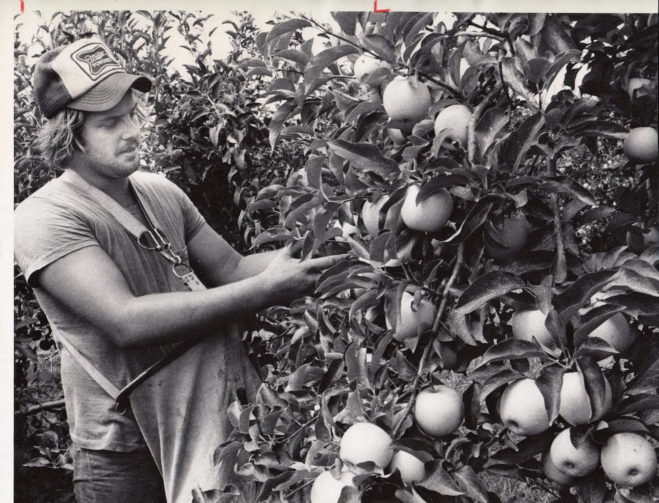 Photos: Monnin Fruit Farm through the years