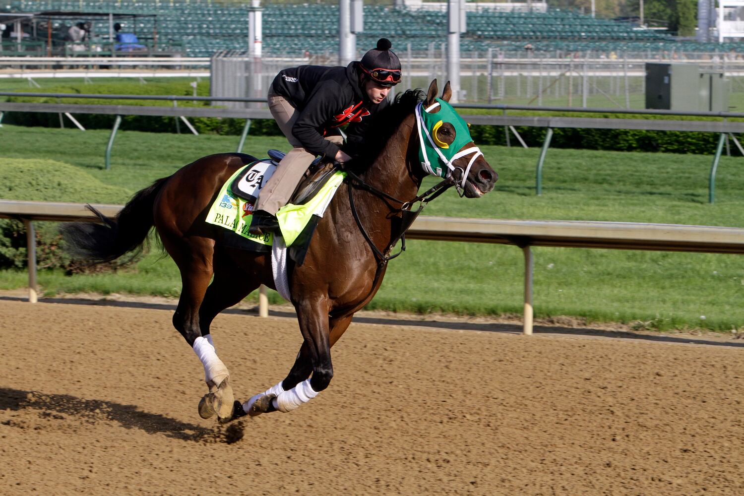 10. Palace Malice (25/1)