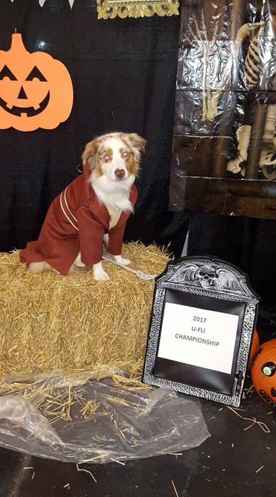 PHOTOS: Local pets ready for Halloween