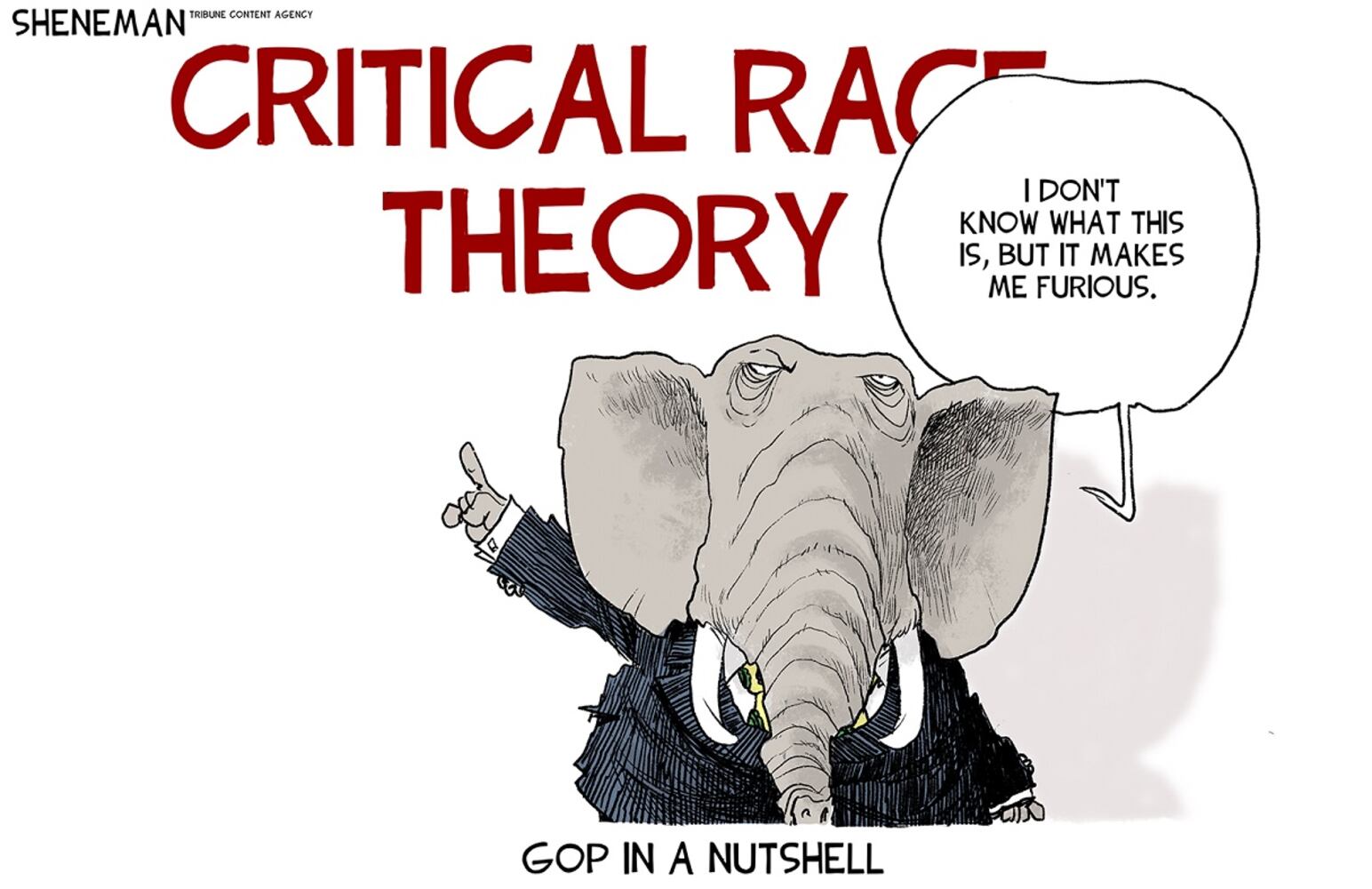 WEEK IN CARTOONS: Election results, Aaron Rodgers and more