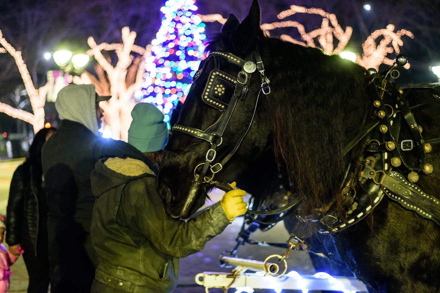 PHOTOS: 2025 Kettering Mayor's Tree Lighting at Lincoln Park Civic Commons