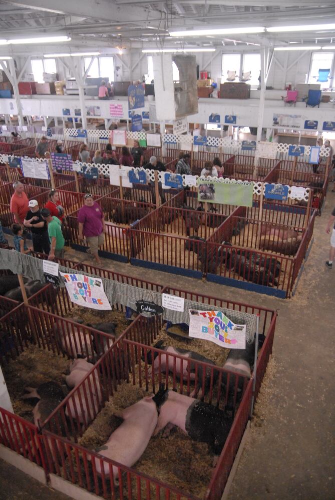 PHOTOS: Did we spot you at the Great Darke County Fair?