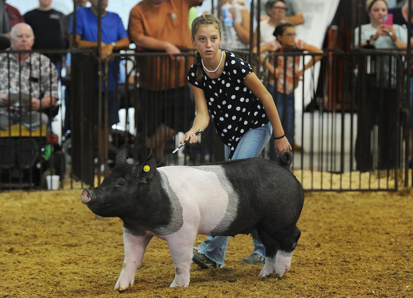 Greene County Fair