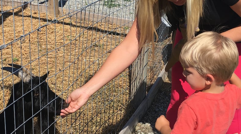 Kristine Farrell and her two and a half-year-old son pet a goat during an event at Hidden Valley Orchards in Lebanon. STAFF PHOTO/HOLLY SHIVELY