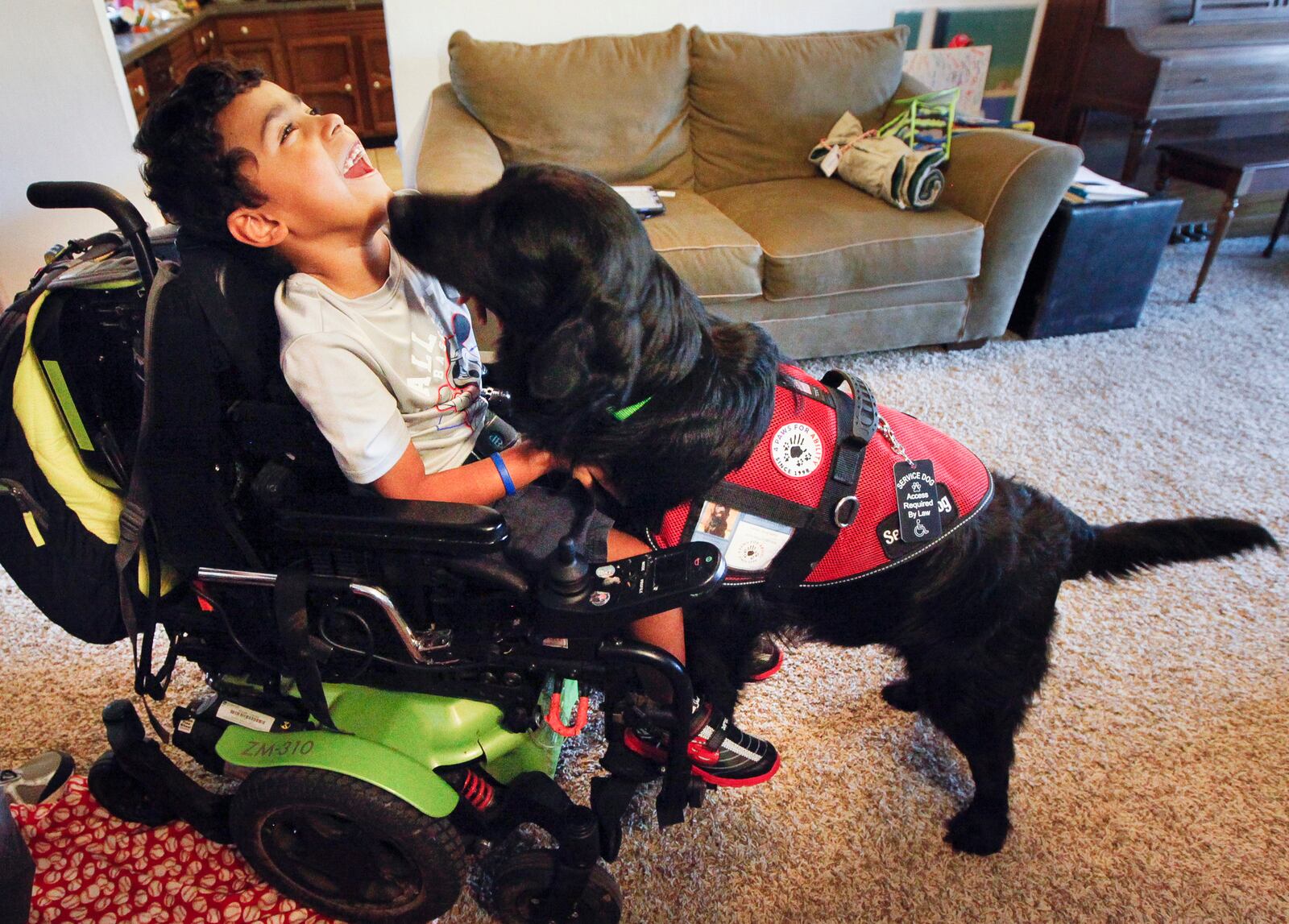 Jesse Burns' family raised $15,000 to get Squirt, a service dog that alerts Jesse to seizures and helps open doors, turn on lights and pick up dropped objects. The family is concerned about others who pass off dogs as fake service animals. The image of Jesse was one taken by Dayton Daily News reporter Chris Stewart, who was named a Best Photographer finalist in the Associated Press Media Editor's 2016 newspaper contest. Stewart is also a finalist in the Best Explanatory Reporting and Best Enterprise Reporting categories of the contest. CHRIS STEWART / STAFF