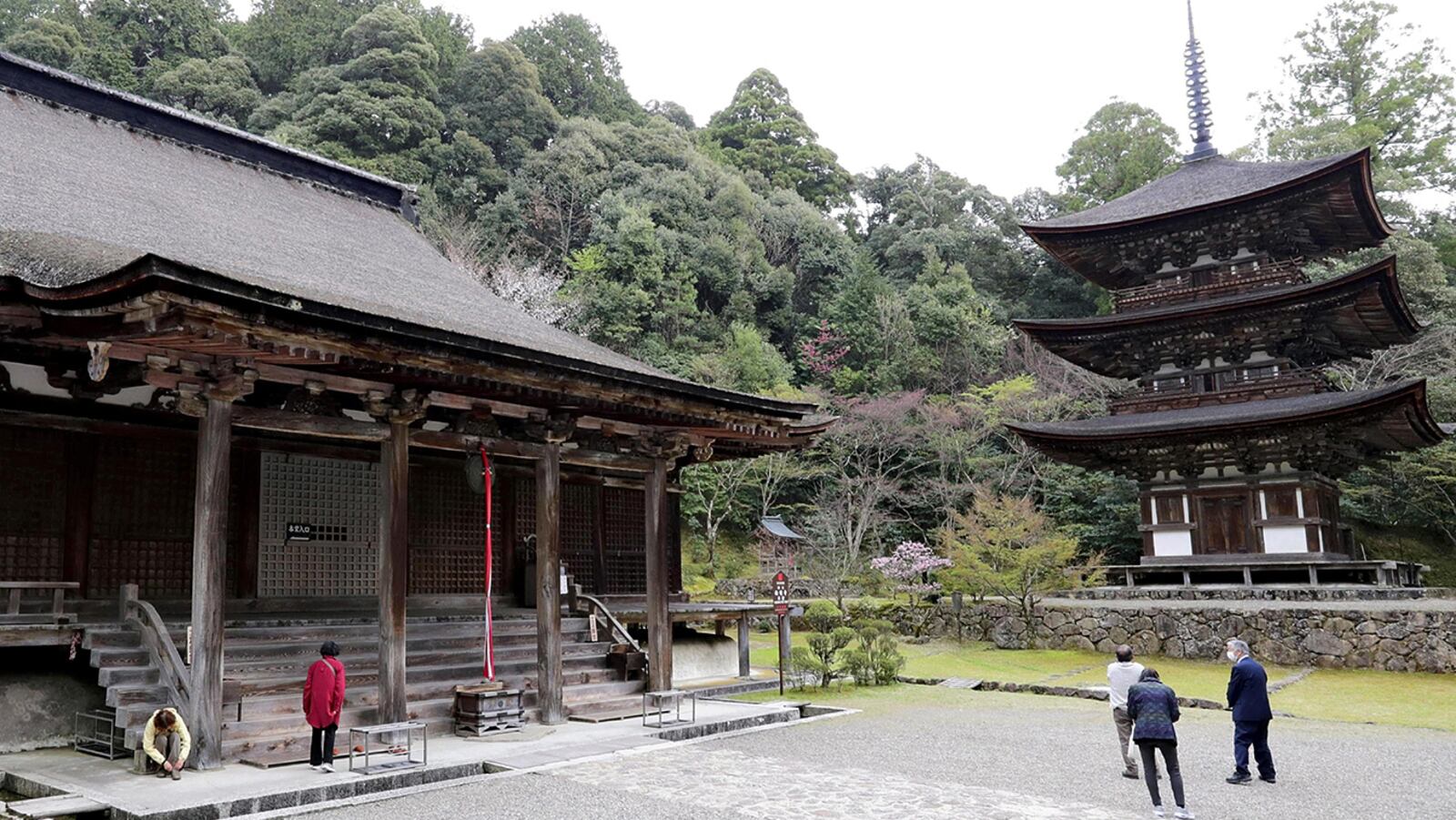 The main hall, of the Saimyoji temple in Kora (left) and the three-story pagoda survived an attack by warlord Oda Nobunaga. Yomiuri/Japan News photo.