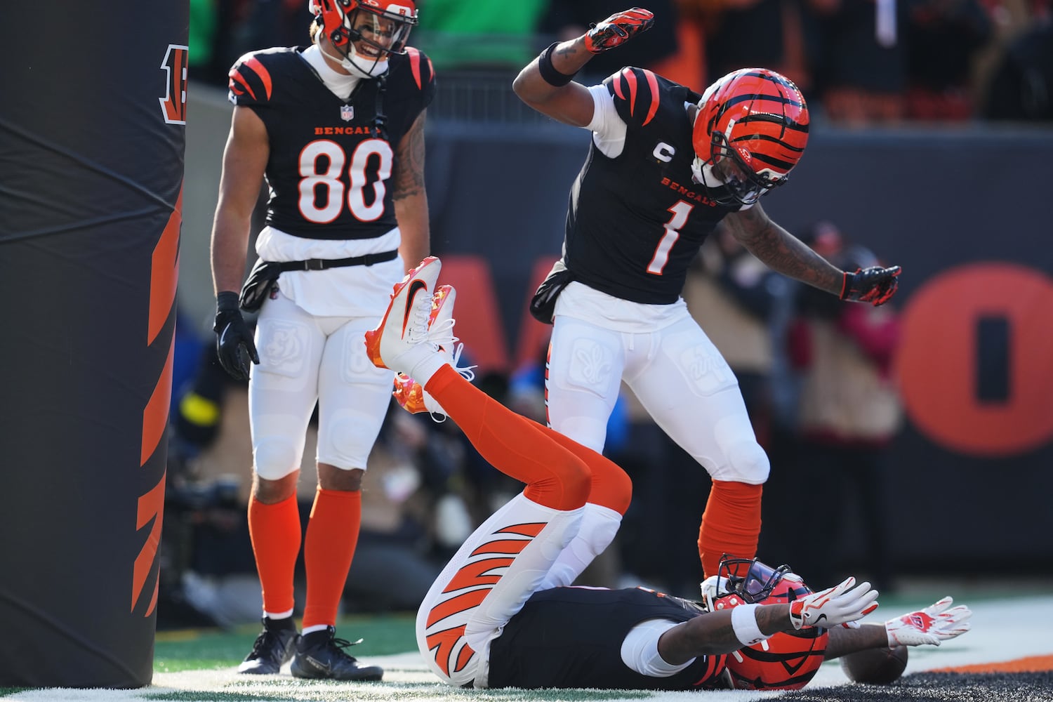 Browns Bengals Football