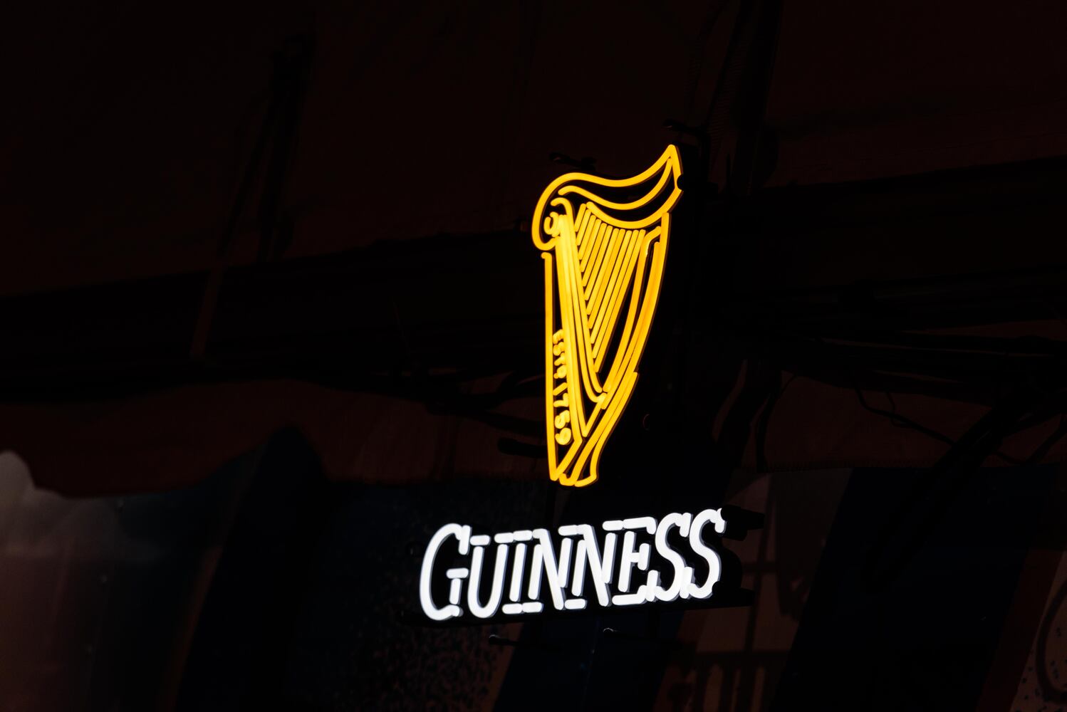 PHOTOS: Did we spot you celebrating St. Patrick's Day at The Dublin Pub?