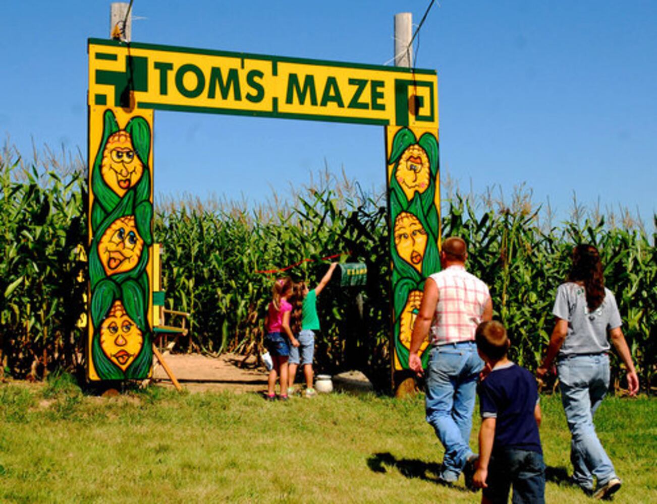 Tom's Maze corn maze opens