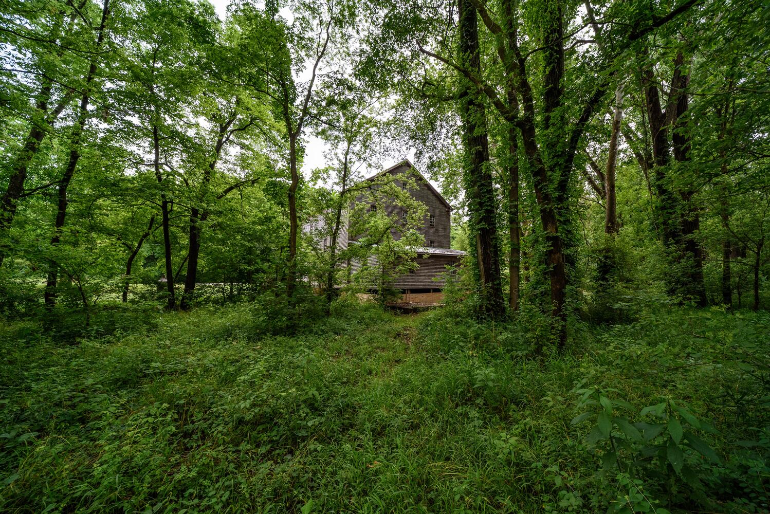 Bear's Mill Greenville