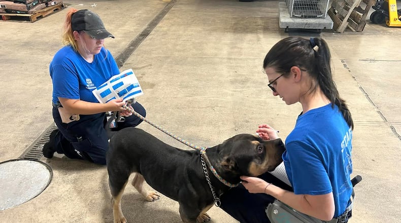 The Montgomery County Animal Resource Center is asking for public help adopting and fostering its current dogs after it helped the Montgomery County Sheriff’s Office rescue 33 dogs from a property. ARC VIA FACEBOOK