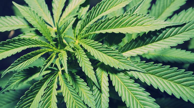 Ohio legalized marijuana for medical use in 2016.