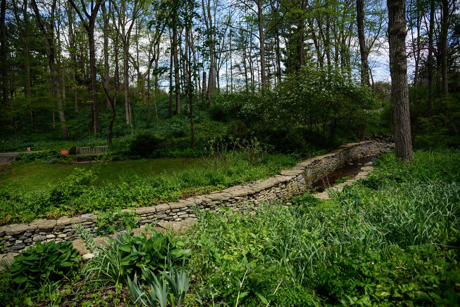 PHOTOS: Gorgeous Aullwood Garden is in full bloom