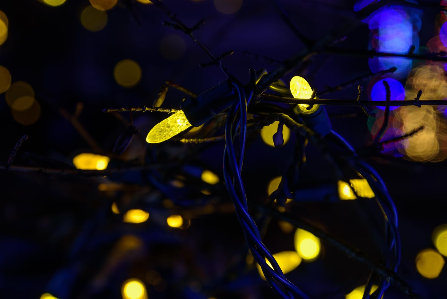 PHOTOS: A walk through Woodland Lights in Washington Township