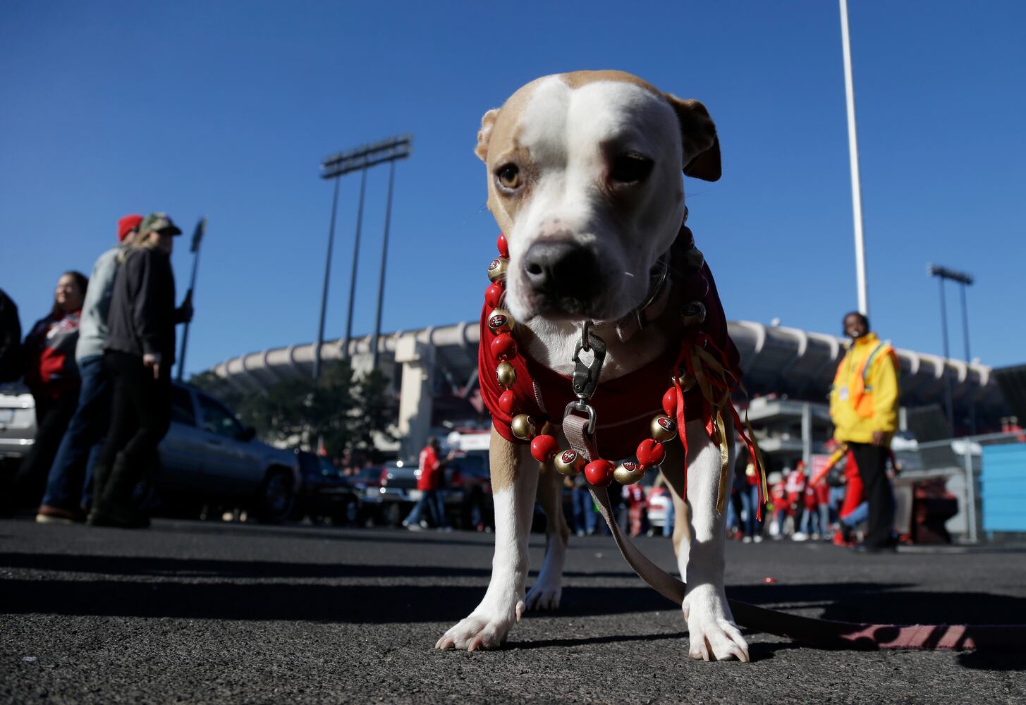 News hounds (12/12/2013)