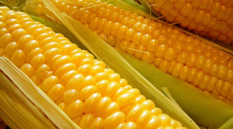 Sweet corn is the star of the show at the Fairborn Sweet Corn Festival, which was canceled for this year due to the coronavirus. It returns Aug. 21 and Aug. 22, 2021, organizers said. CONTRIBUTED