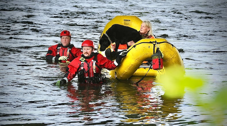 Dayton Fire Department and the Beavercreek Twp. Fire Department were back at the Mad River near Harshman Road on Thursday, May, 11, 2023, searching for Lucas Rosales, a boy who went missing on April 29, 2023. A special volunteer team is searching with the fire departments with dogs that can smell underwater. MARSHALL GORBY\STAFF