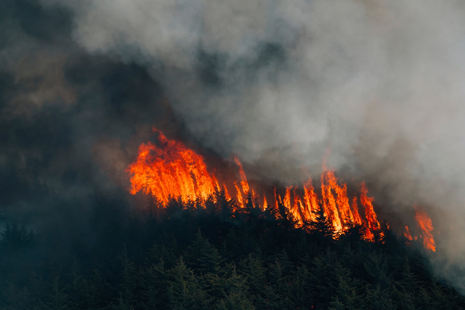 Smoke fills the sky from a wildfire in Ocean County, N.J. on Thursday, April 24, 2025. (New Jersey Department of Environmental Protection via AP)