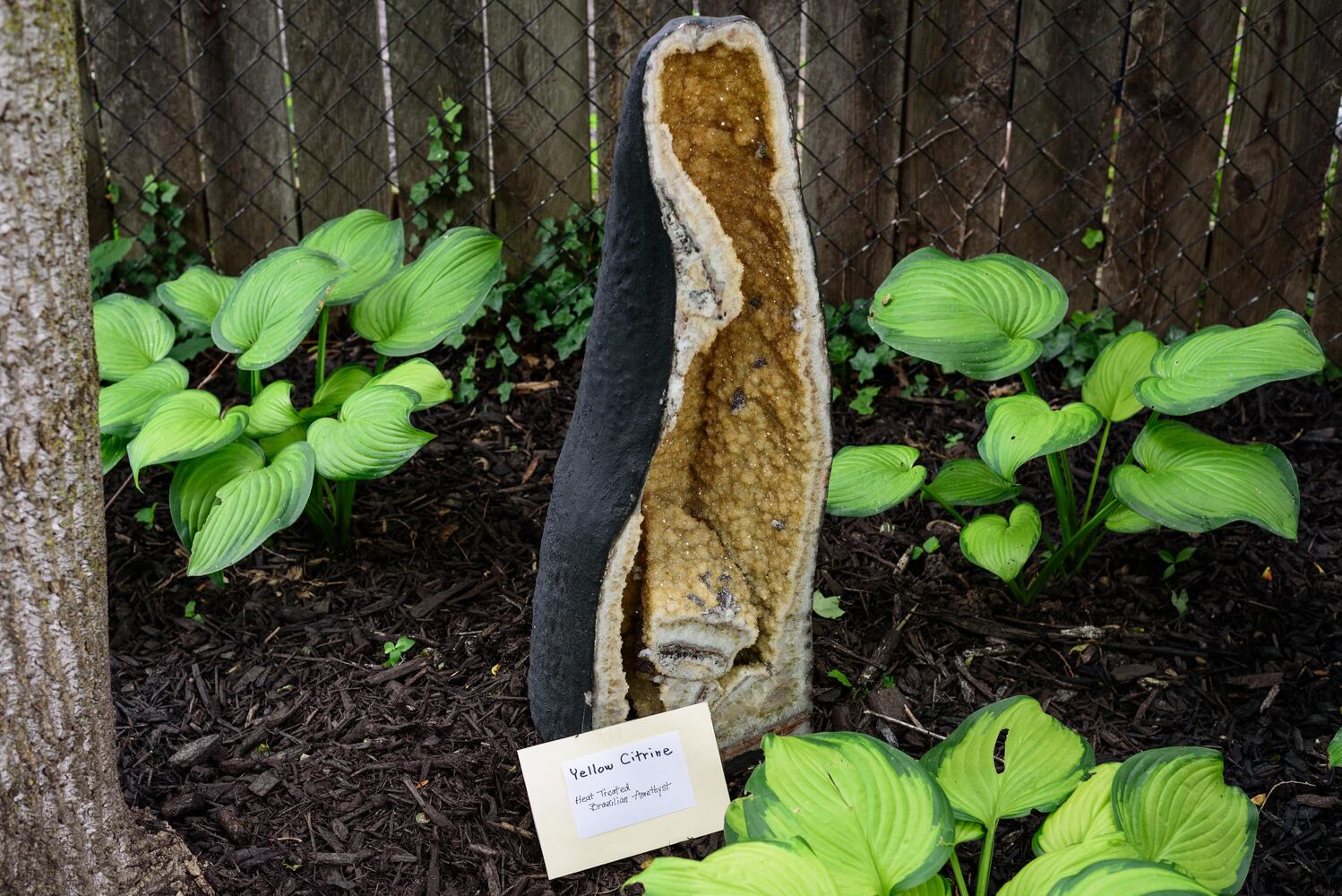 PHOTOS: 2024 St. Anne's Hill Historic District Garden Tour