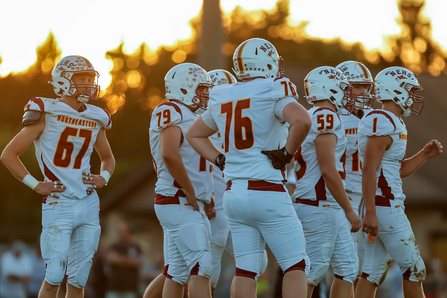 nefb hsfb