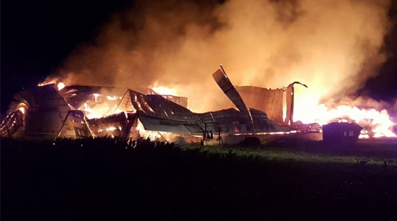 BluebagMedia/Contributed