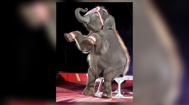Five-year-old Baby Val takes a seat during the Antioch Shriners' Circus at UD Arena in Dayton Sunday, Feb. 5, 2012.